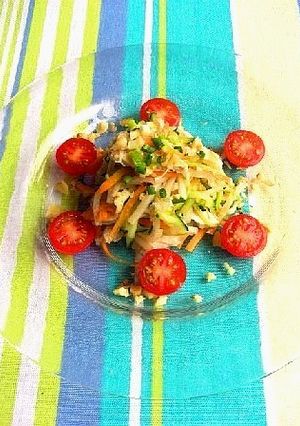ソムタム風チキンサラダ-レシピのメイン写真