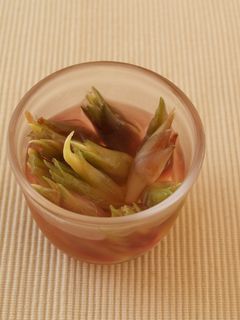 簡単☆みょうがの甘酢漬け-レシピのメイン写真