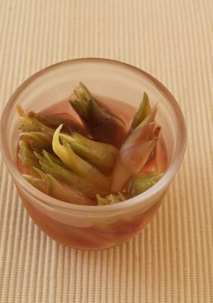 簡単☆みょうがの甘酢漬け-レシピのメイン写真