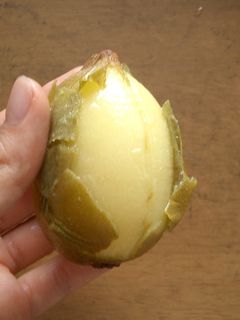 あっ、キウイがきれい!!な食べ方-レシピのメイン写真