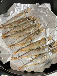 ししゃもの焼き方-レシピのメイン写真