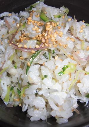 感動した!!みょうが香味ご飯♪-レシピのメイン写真