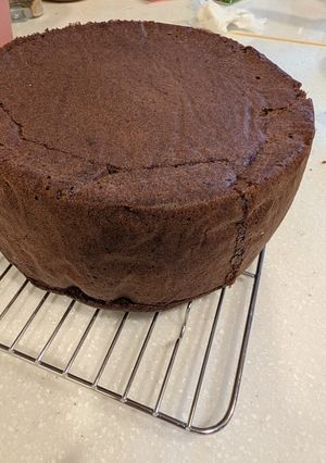 ココア スポンジケーキ-レシピのメイン写真