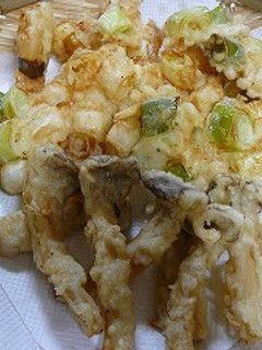 ネギとサクラ海老のかき揚げ-レシピのメイン写真
