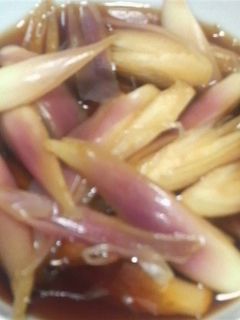 みょうがのサッパリ漬け-レシピのメイン写真