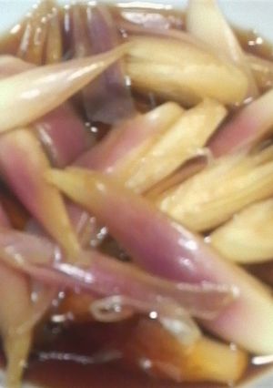 みょうがのサッパリ漬け-レシピのメイン写真