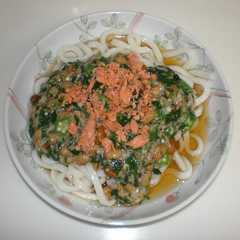 ネバネバうどん-レシピのメイン写真