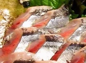 海鮮！秋刀魚の刺身(秋刀魚の捌き方)-レシピのメイン写真