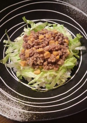 豚肉の味噌炒め丼-レシピのメイン写真