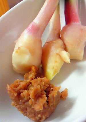 簡単！葉しょうがは味噌が一番。-レシピのメイン写真