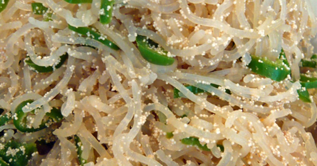 ダイエット定番☆明太子しらたき by タラちゃんママ 【クックパッド