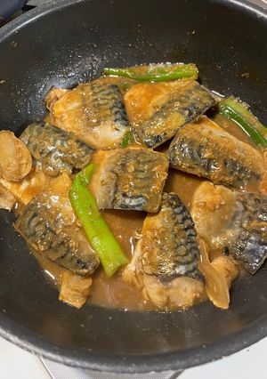 執念の？サバの味噌煮-レシピのメイン写真