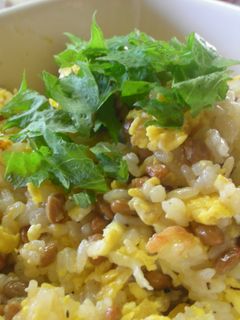 明太納豆チャーハン♪-レシピのメイン写真