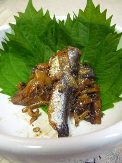 生姜とコショウdeいわしの佃煮-レシピのメイン写真