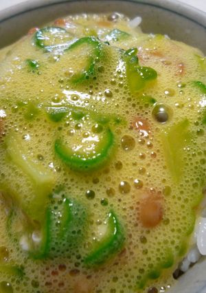 卵納豆におくら・ゴーヤをIN♬-レシピのメイン写真