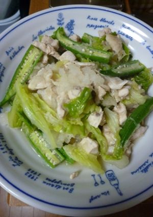 鶏肉とキャベツのおろし煮-レシピのメイン写真