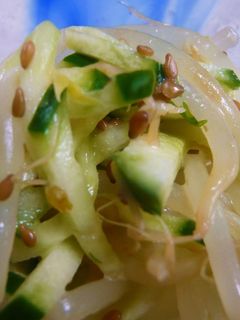 もやしときゅうりの和え物☆柚子風味-レシピのメイン写真