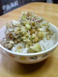 みょうが刻み丼-レシピのメイン写真