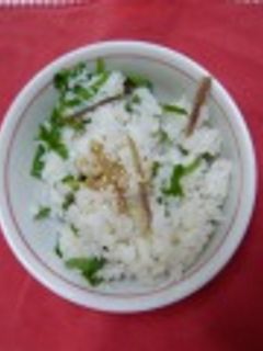 みょうがとしその簡単まぜごはん-レシピのメイン写真