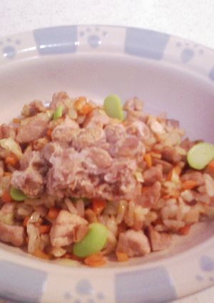 犬ご飯（納豆チャーハン）-レシピのメイン写真