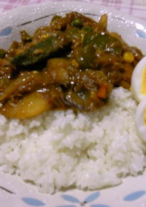 市販のルーで作る♬簡単夏野菜カレー-レシピのメイン写真