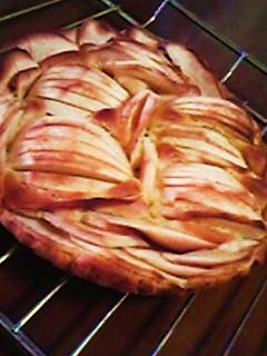 Apple Cake-レシピのメイン写真