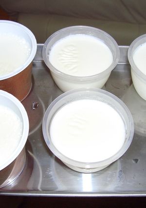 梅仁豆腐-レシピのメイン写真