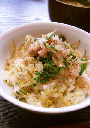 薬味ごはん 【覚書】-レシピのメイン写真