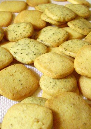 さくほろ濃厚・ミルクサブレクッキー-レシピのメイン写真