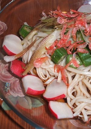 血液サラサラ、ネバネバうどん♪-レシピのメイン写真