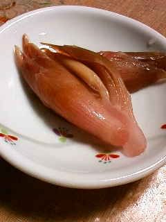 ミョウガの甘酢漬け-レシピのメイン写真