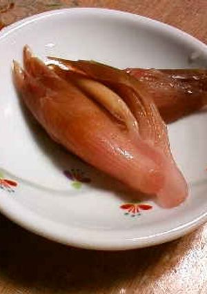 ミョウガの甘酢漬け-レシピのメイン写真