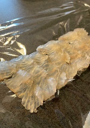 寒ヒラメのしっとり昆布締め-レシピのメイン写真