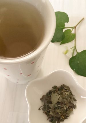 ドクダミ茶-レシピのメイン写真