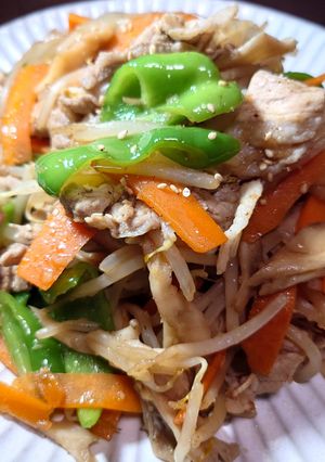 シャキシャキもやしの💫肉野菜炒め-レシピのメイン写真