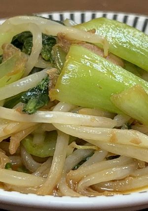 ツナとチンゲン菜の中華炒め-レシピのメイン写真