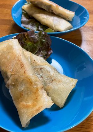 餃子の具で⭐︎肉春巻き-レシピのメイン写真