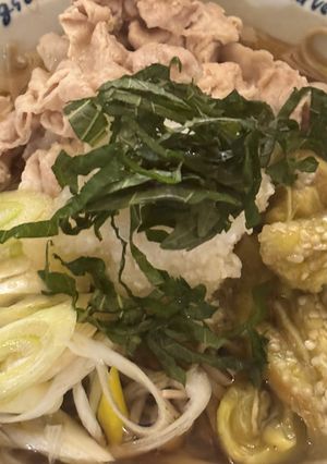茄子がとろーり!おろし豚しゃぶそば😋-レシピのメイン写真