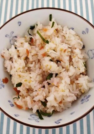 カリカリ梅としらすの混ぜご飯-レシピのメイン写真