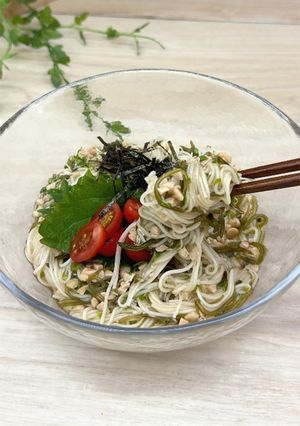 ブロッコリースプラウト入り☆ねばねばそうめん-レシピのメイン写真