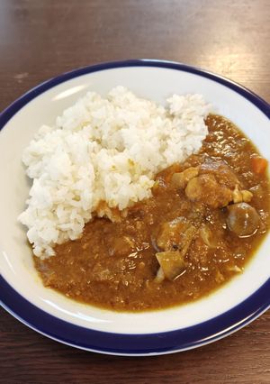減塩 ホットクックで普通のチキンカレー-レシピのメイン写真