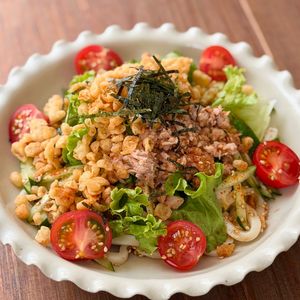 ☆たぬきサラダうどん☆
