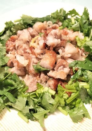たっぷりパクチーと豚肉のエスニック炒め-レシピのメイン写真