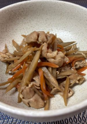 豚肉入り満足キンピラ-レシピのメイン写真