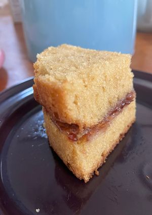 トースターでワンボールヴィクトリアケーキ-レシピのメイン写真