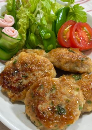 鶏ミンチとはんぺんのつくね風♪-レシピのメイン写真