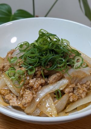 簡単!とろっと新玉ねぎと豚ミンチ炒め-レシピのメイン写真