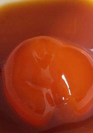 卵黄醤油漬け-レシピのメイン写真