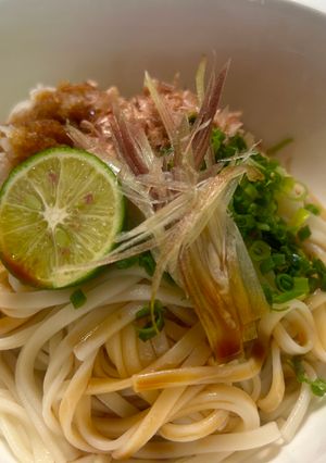 すだち香るおろしだし醤油うどん-レシピのメイン写真