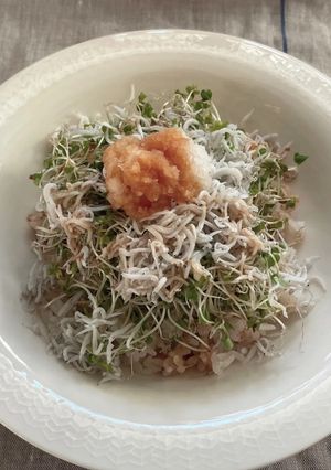 ブロッコリースプラウトと釜揚げしらすの丼-レシピのメイン写真